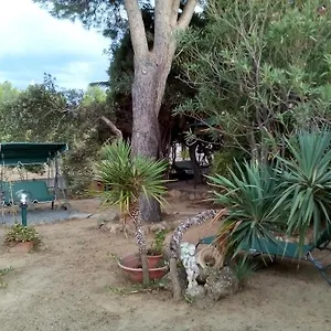  Bed & Breakfast Il Vigneto Italia